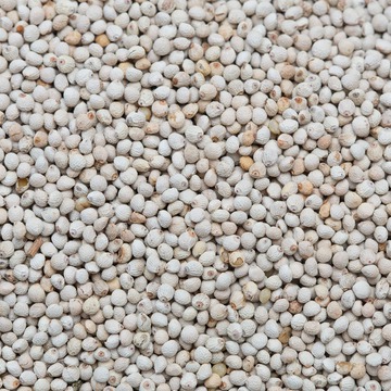 Perilla